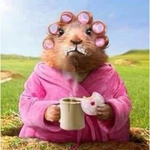 Meet your Posher, Linda